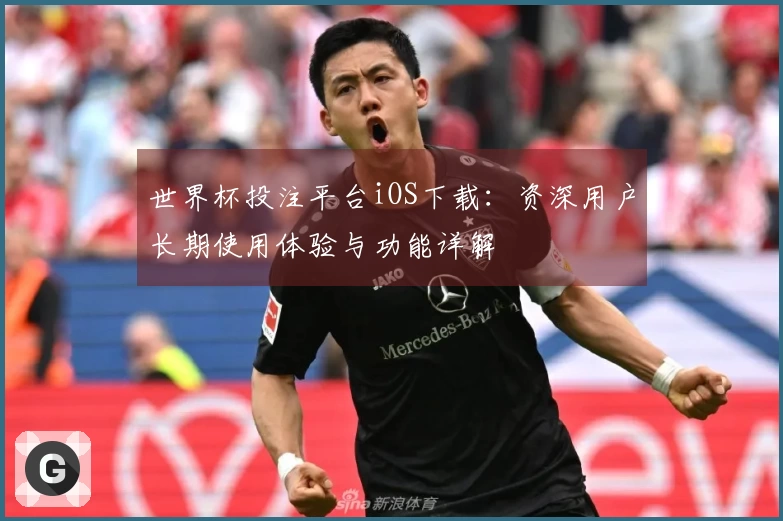 世界杯投注平台iOS下载：资深用户长期使用体验与功能详解