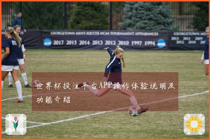 世界杯投注平台APP操作体验说明及功能介绍